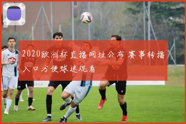 2020欧洲杯直播网址公布 赛事转播入口方便球迷观看