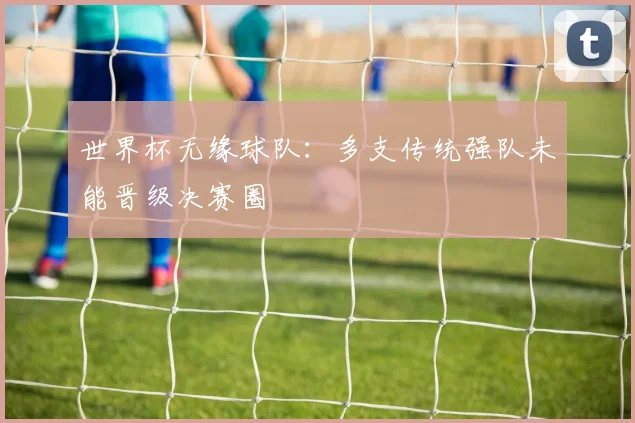 世界杯无缘球队:多支传统强队未能晋级决赛圈