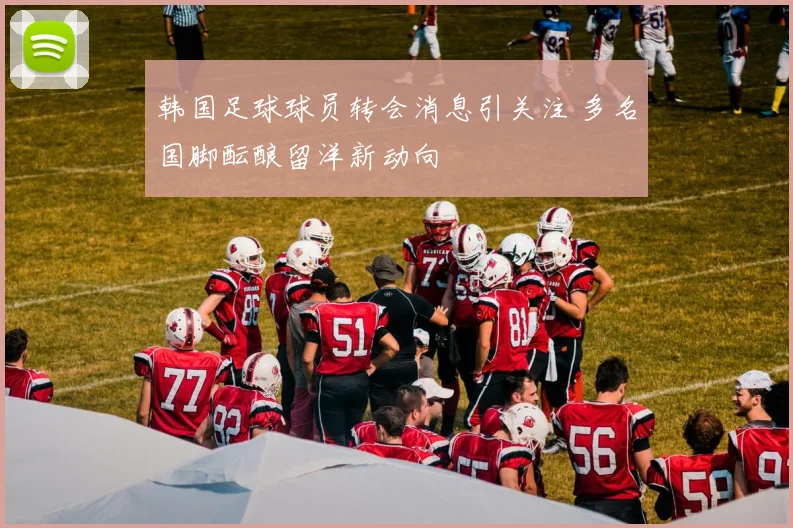 韩国足球球员转会消息引关注 多名国脚酝酿留洋新动向
