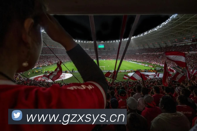 多媒体互动体验